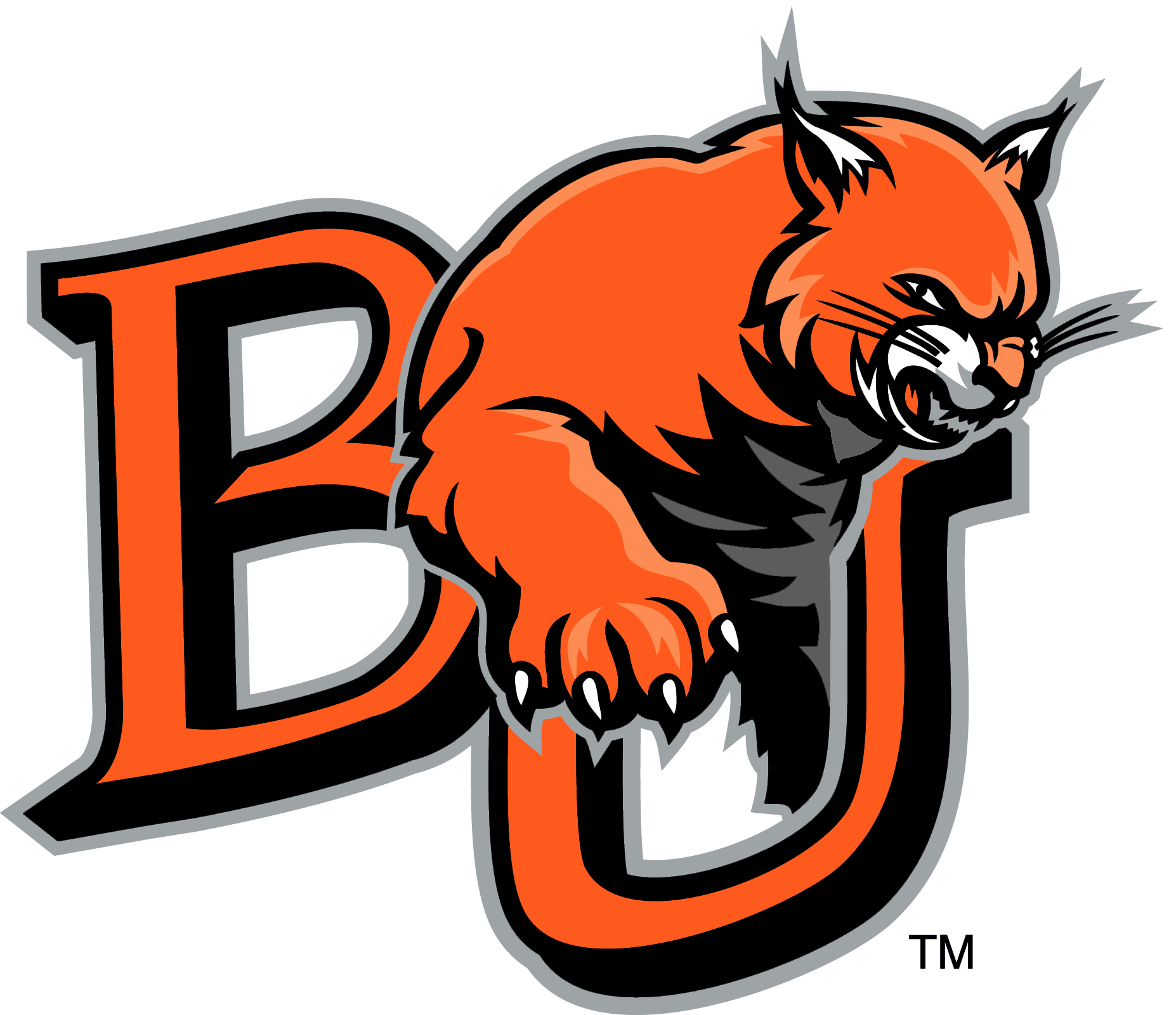Team Logo